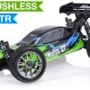 1/8Th 2.4Ghz Exceed RC MadFire Electric Brushless Racing Edition RTR Ready To Run Buggy Gama Green RC Remote Control Radio Car