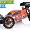1/8Th 2.4Ghz Exceed RC MadFire Electric Brushless Racing Edition RTR Ready To Run Buggy Gama Orange RC Remote Control Radio Car