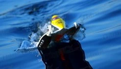 Exceed Formula 1 650MM Electric Powerboat Almost Ready To Run With Outboard Motor System -rcMart Online Hobby Shop unnamed file 2807